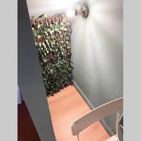 Giacosa Apartment *